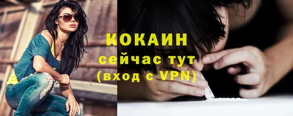 дживик Арсеньев