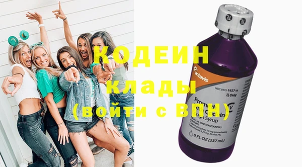 дживик Арсеньев