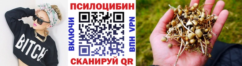 Псилоцибиновые грибы мухоморы  Купить  Порхов 